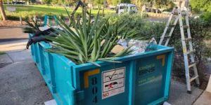 The Significance of Green Waste Recycling in Landscape with skip bin